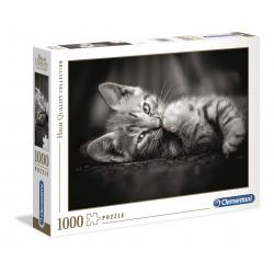 PUZZLE 1000P - KITTY