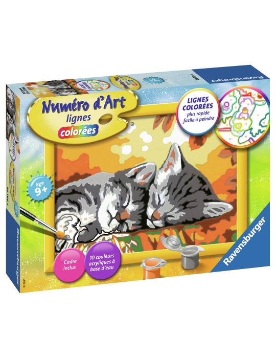 Ravensburger – Set Peinture Par Numéros – Chats Endormis – Dès 11 Ans – Peintures Sans Odeur – Loisir Créatif